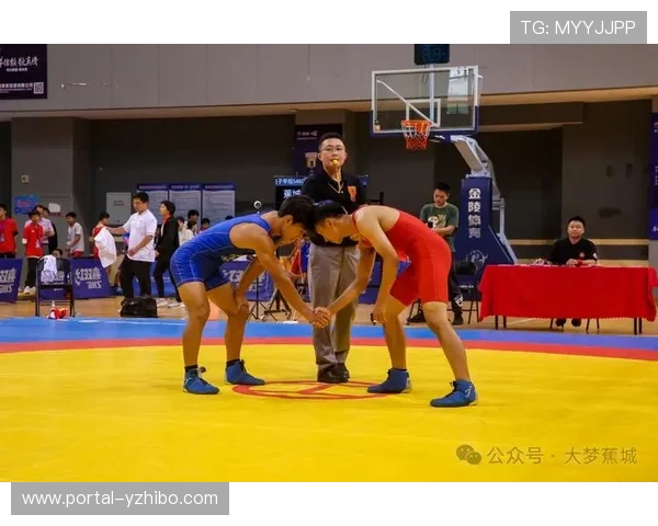 摔跤历史文献整理项目获资助，致力于保护运动文化遗产